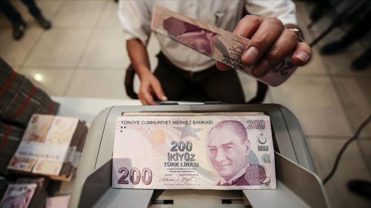 TL şubatta reel olarak değer kazandı