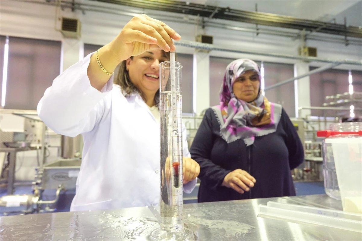 Kırklareli’nde Geleneksel Peynir Üretimi Bilimsel Ölçülerle Kayıt Altına Alınıyor